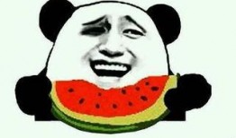 吃瓜修仙全集免费观看,免费畅享仙界风云，揭秘修仙界神秘面纱