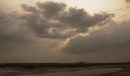 湿地电影手机在线观看,手机在线观影之旅