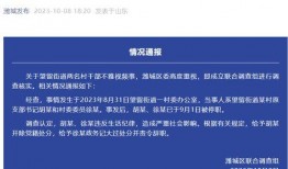 潍坊企业爆料事件视频,揭秘背后真相与争议