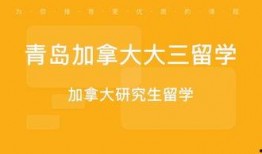 加拿大中介爆料案例视频,揭秘房产交易内幕与陷阱