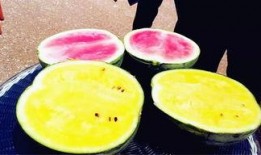 2025最新大瓜爆料,揭秘娱乐圈惊天秘密与幕后真相