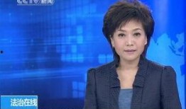 央视新闻爆料王冕视频下载