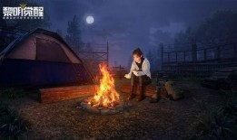 黎明觉醒爆料最新视频,揭秘最新视频中的神秘元素与未来走向