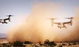 29棕榈镇在线观看,在线重温经典小镇的温馨时光