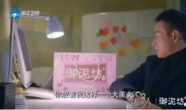 罗晋酒店爆料事件真相视频,揭秘真相背后的真相