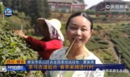 爆料睢宁猴哥事件真相视频,真相视频曝光背后的惊人内幕