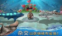 鲨鱼套最新爆料,最新爆料背后的惊人真相