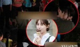 罗芳爆料李易峰视频,真相与争议并存