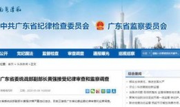 广东今日爆料官方,揭秘热点事件，追踪社会动态！”