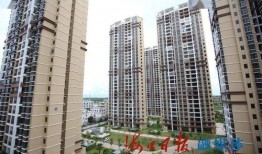 永秀花园爆料视频大全最新,揭秘社区生活百态