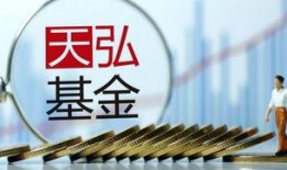 天弘基金最新爆料,揭秘投资新动向与市场趋势