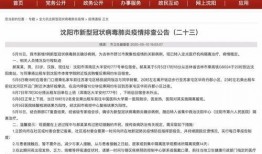 清远三防最新爆料公告公示,揭秘公告公示背后的关键信息