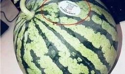 晋城网红吃瓜,揭秘当地美食圈的热辣话题