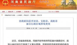 河南频道爆料新闻事件视频,惊曝重大新闻事件，真相令人震惊！