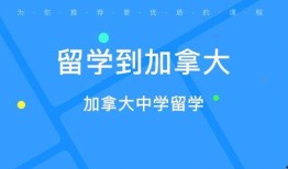 加拿大中介爆料案例视频,揭秘房产交易内幕与陷阱