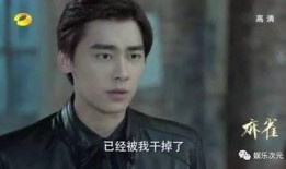 心里罪李易峰在线观看,在线观看，揭秘犯罪心理的惊悚之旅