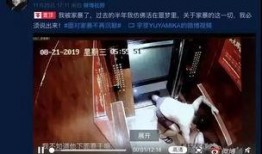 网红媳妇爆料家暴视频,视频曝光令人震惊