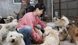 狗狗救助站爆料视频大全,揭秘救助站爆红视频背后的感人故事