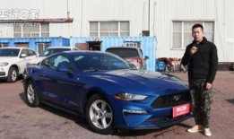 野马在线观看,探寻狂野自由的激情之旅