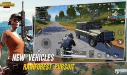 pubg国际服最新m2爆料