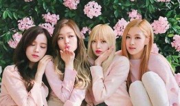 女团小樱策划爆料视频,幕后故事与精彩瞬间